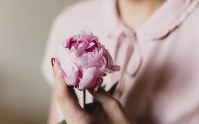 La menopausa